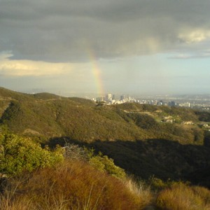 rainbow westridge