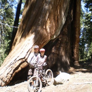 sequoia 0709