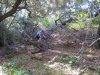 IMG_0562.jpg