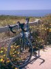dume.jpg
