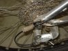 DSC00556.jpg
