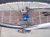Small Isis rear wheel.jpg
