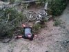 AV Crash.jpg