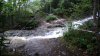 the creek.jpg the creek.jpg