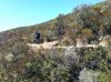 SaulSwitchback1-sm.jpg