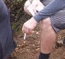 cigs.gif cigs.gif