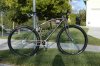 Blacksheep pics 001 (Medium).JPG