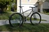 Blacksheep pics 002 (Medium).JPG