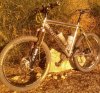 litespeed Mt Lowe.jpg