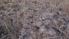 8727138874_e0e19de150_k.jpg