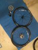 IMG_0801.JPG