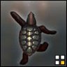Zen_Turtle