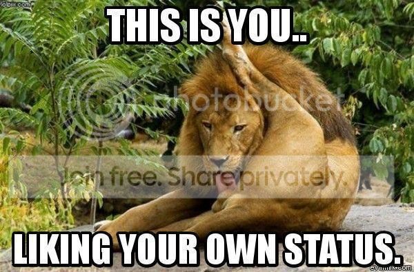 lionliking.jpg