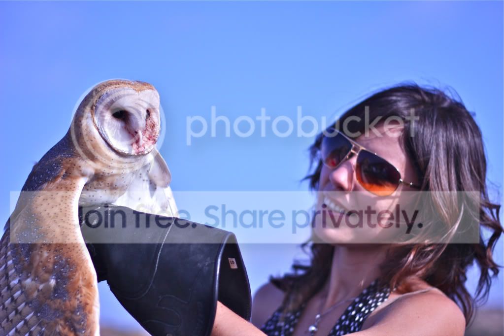 kennabarnowl.jpg