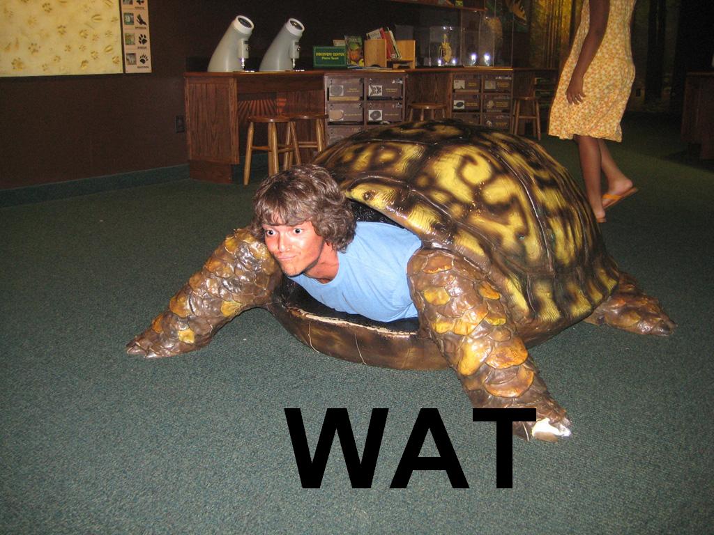 RsLid.jpg