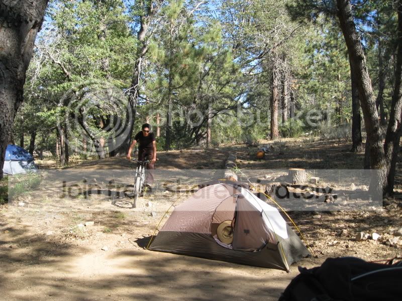 IMG_2027.jpg