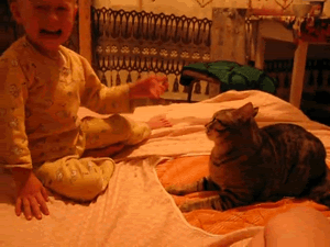 132358689995.gif