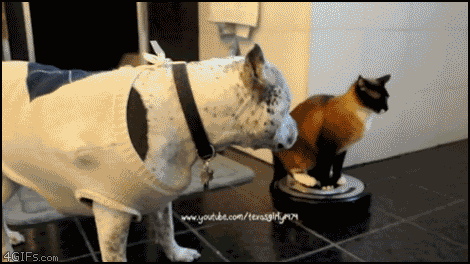 132348439711.gif