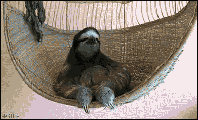 1282620263716.gif